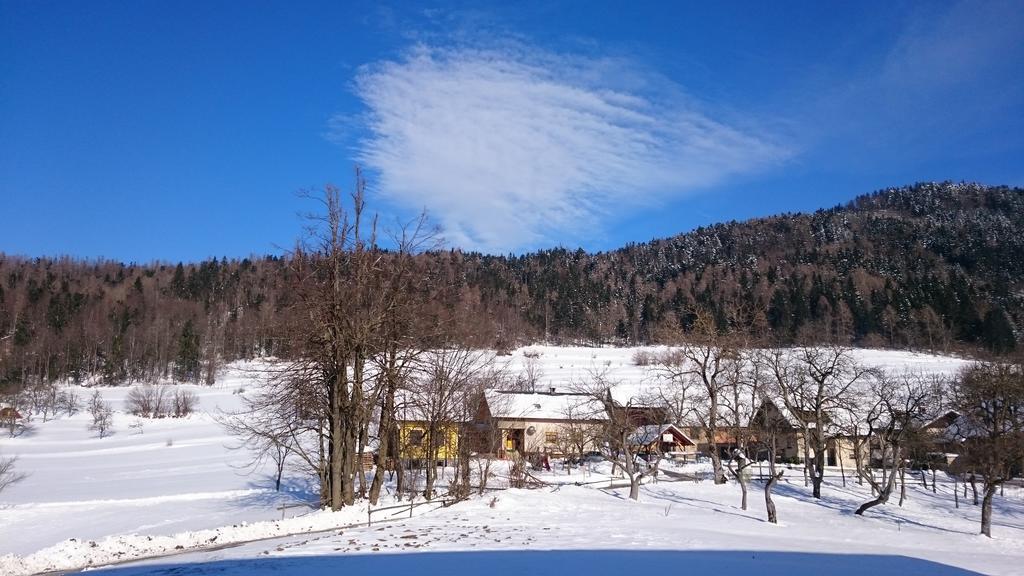 Apartment Vrtacnik Stefanja Gora Exteriér fotografie